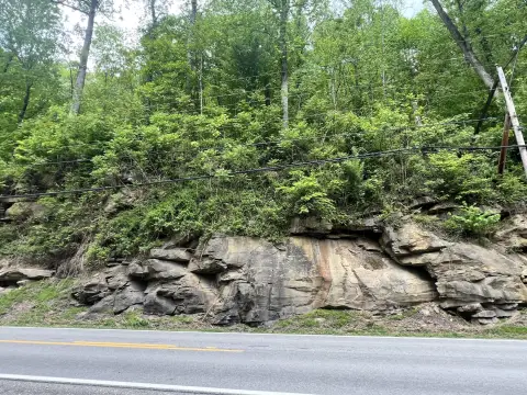 Wooded Residential Land