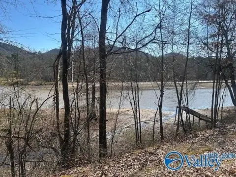 Weiss Lake Waterfront Land