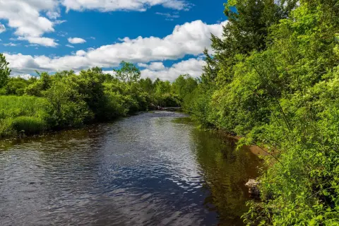 Waterfront Land with Stream Frontage