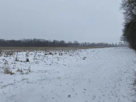 80 Acres of Farmland