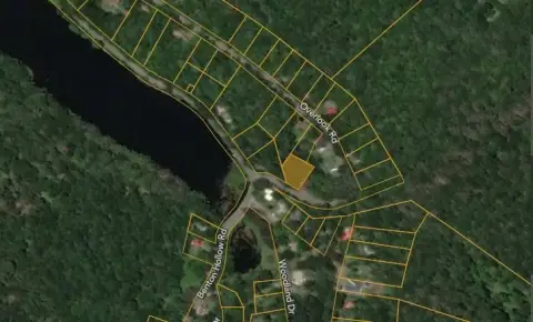 Partially Fenced Wooded Vacant Land