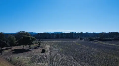 Vacant Land with Open Pasture