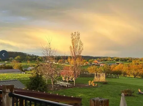 Boutique Winery Land with Vineyards