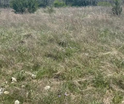 60 Acres Near Bois D'Arc Lake