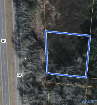Wooded Commercial Land with Highway Access
