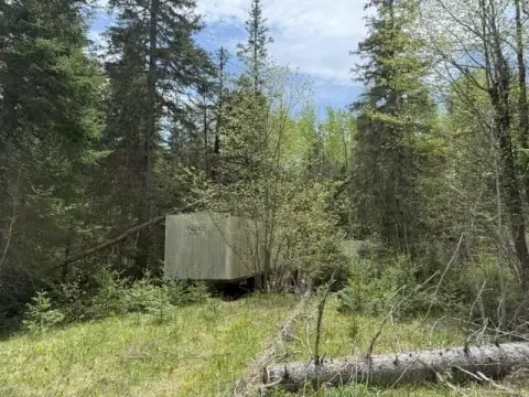 Wooded Land Parcel in Princeton, ME