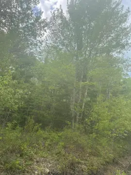 Steuben Land For Sale