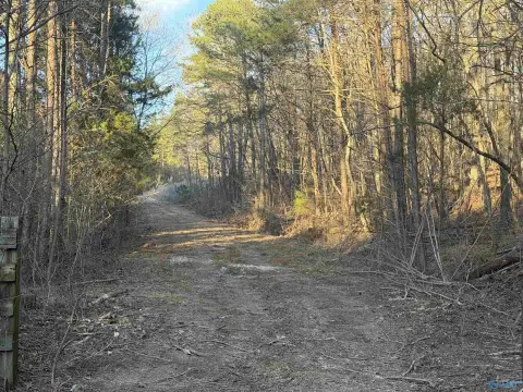Fort Payne Land For Sale