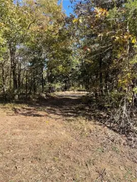 Huntsville Recreational Land with Trails