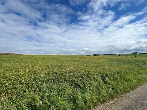Agricultural Land with Road Frontage