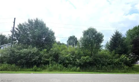 Wooded Lake Community Home Lot