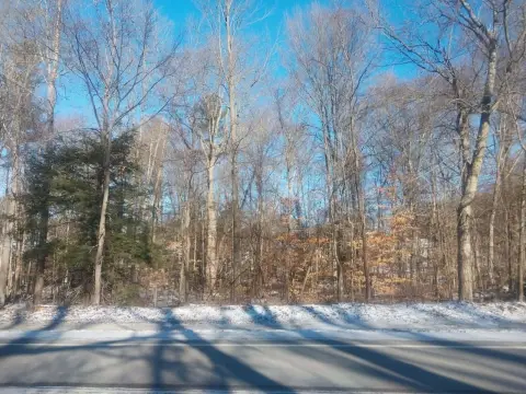 Commercial Lots West of Dorr