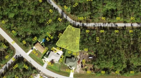Oversized Lot in Port Charlotte