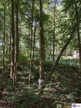 Barren River Lake Access Lots