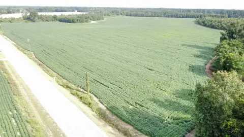 65.2-Acre Farmland with Development Potential