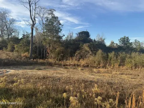McHenry, MS Land Parcel