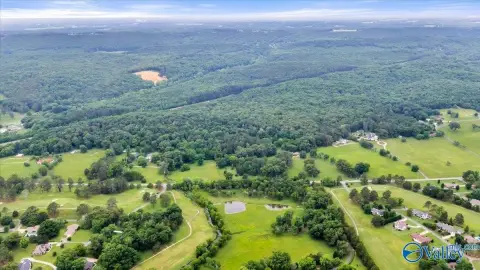 73 Acres in Fort Payne