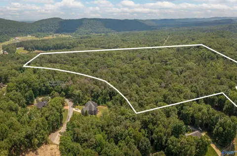 Gadsden Land with Development Potential