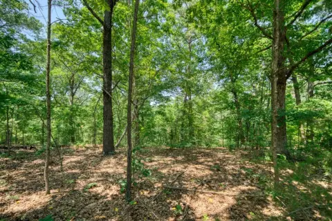 Eureka Springs Land Opportunity