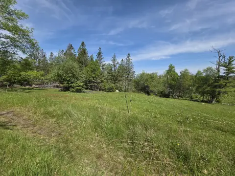 30.5 Acres in Bucksport, ME
