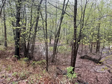 Wells, ME 1.3-Acre Wooded Lot