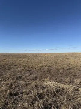 Agricultural Land Near Guymon, Oklahoma