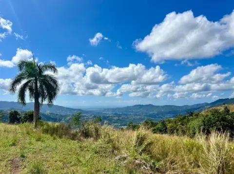 Villalba Land for Eco-Tourism