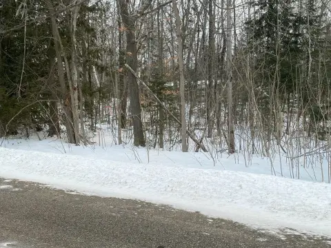 Versatile Land Near Mackinaw City