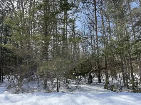 Presque Isle Wooded Lot
