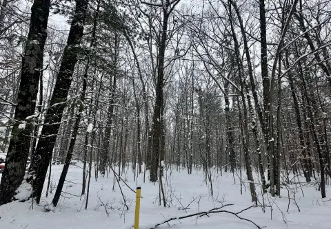 Residential Land in Wooded Setting