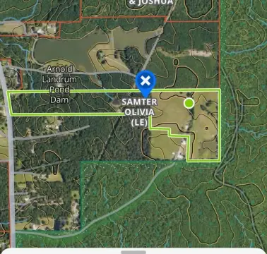 58.55 Acres Bordering National Forest