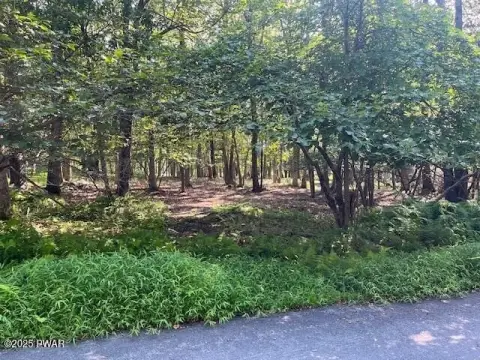 Residential Land in Milford, PA