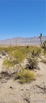 Residential Land in Meadview, Arizona