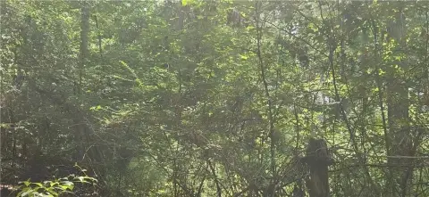 Residential Land in Pittsview, Alabama