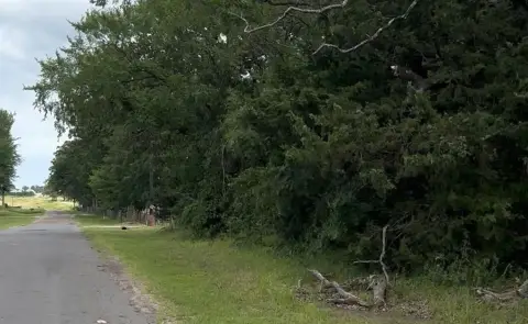 Land Near Lake, Grand Saline