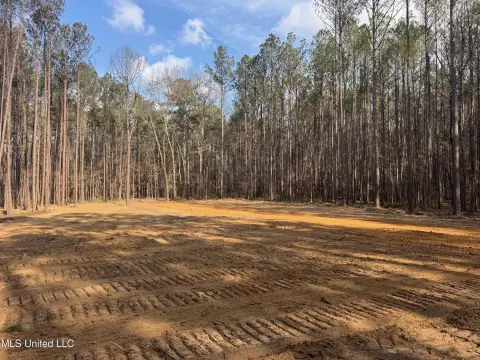 Land in Madison County