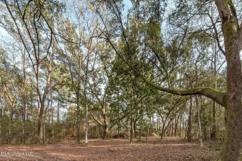 Biloxi Wooded Land with Trails