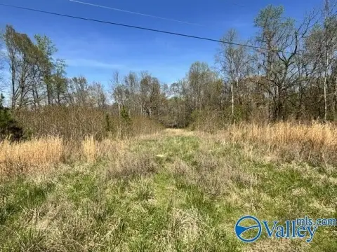 Build-Ready Hunting Land