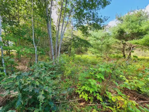 Two-Acre Lot in Pittston, Maine
