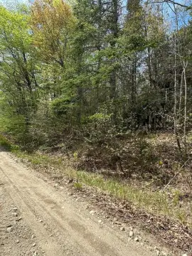 Steuben Land For Sale