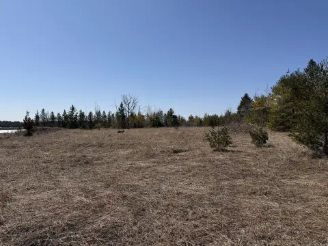Expansive Industrial Land in Alpena