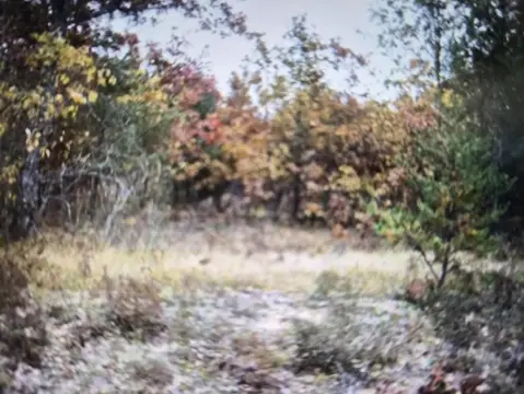 Residential Lots in Northwood Estates