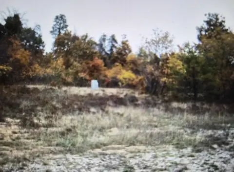 Residential Lots in Grayling Township