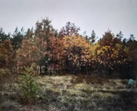 Residential Lots in Northwood Estates