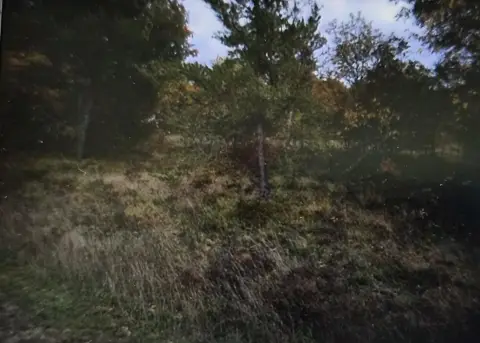 Residential Lots in Grayling Township