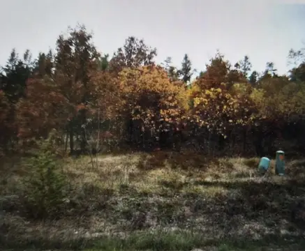 Residential Lots in Northwood Estates