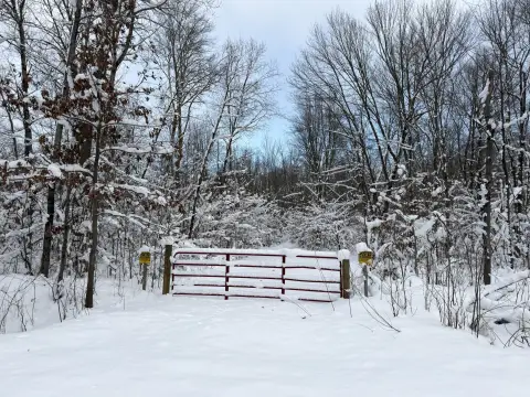 Branch, MI Land with Privacy