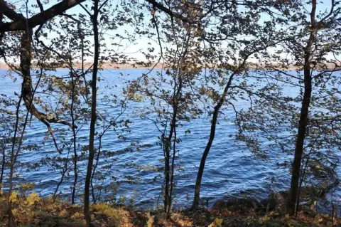 Rare Lake Lot Near Alexandria