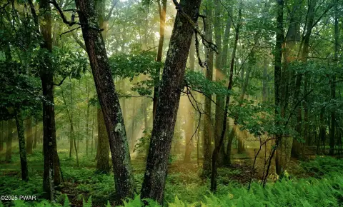 Land in Poconos Community