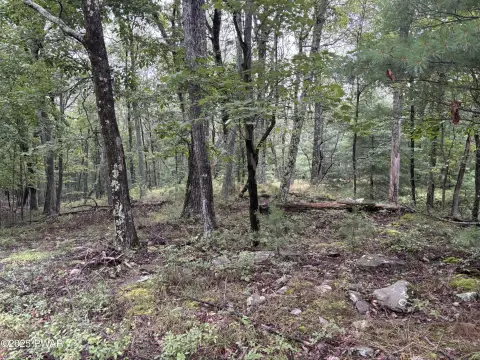 Wooded 1.5-Acre Corner Lot